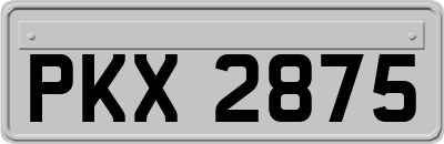 PKX2875