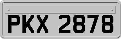 PKX2878