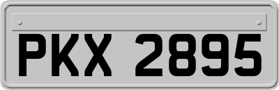 PKX2895