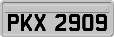 PKX2909