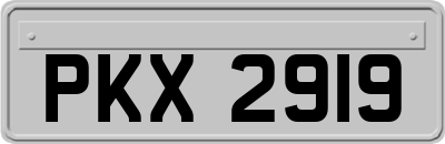 PKX2919