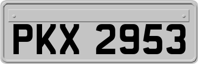 PKX2953
