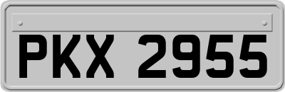 PKX2955
