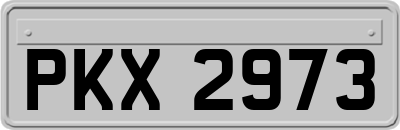 PKX2973