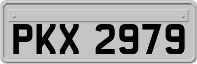 PKX2979