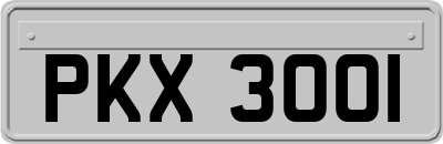 PKX3001
