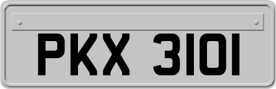 PKX3101