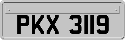 PKX3119