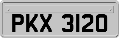 PKX3120