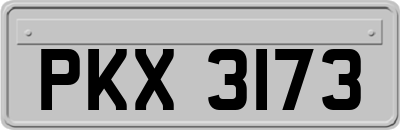 PKX3173