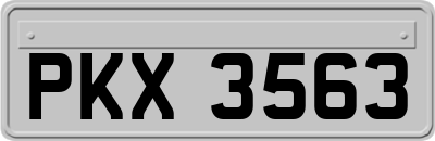 PKX3563