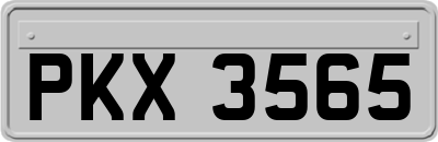 PKX3565
