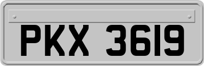 PKX3619