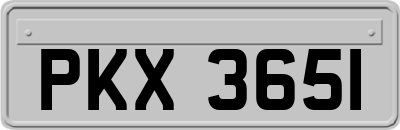 PKX3651