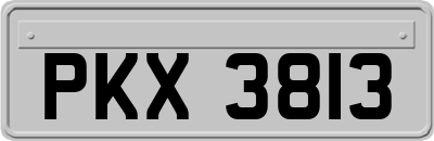 PKX3813