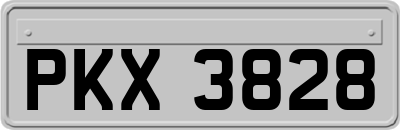 PKX3828
