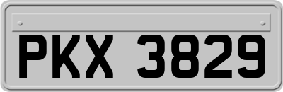 PKX3829