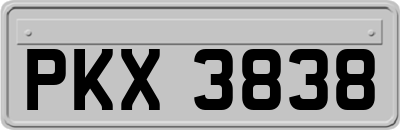 PKX3838