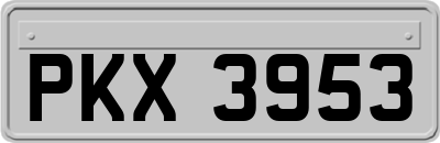 PKX3953