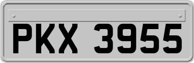 PKX3955