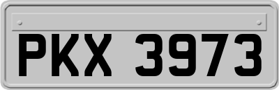 PKX3973