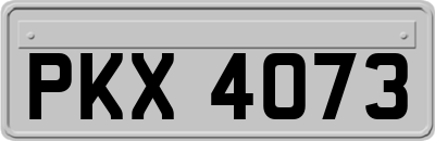 PKX4073