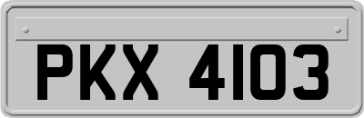 PKX4103