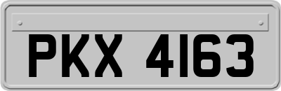 PKX4163
