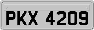 PKX4209