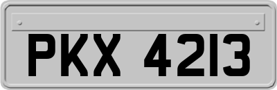 PKX4213