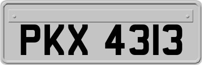 PKX4313