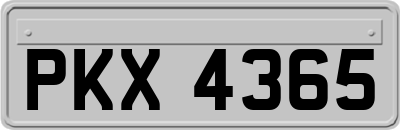 PKX4365