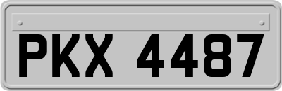 PKX4487