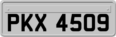 PKX4509