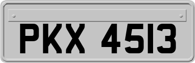 PKX4513