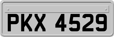 PKX4529