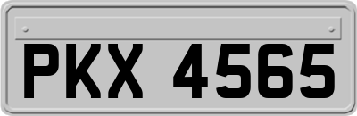 PKX4565