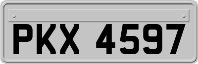 PKX4597