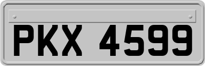 PKX4599
