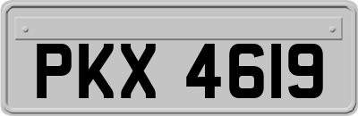 PKX4619