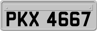 PKX4667