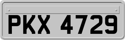 PKX4729