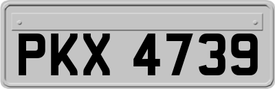 PKX4739
