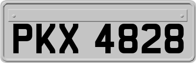 PKX4828