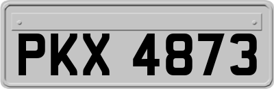 PKX4873
