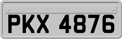 PKX4876