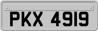 PKX4919