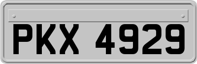 PKX4929