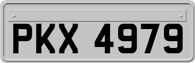 PKX4979