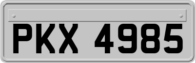 PKX4985